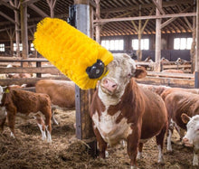 Load image into Gallery viewer, Easy Swing Maxi Cattle Brush