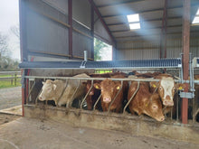 Load image into Gallery viewer, Flip Down Feed Troughs