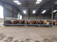 Load image into Gallery viewer, Flip Down Feed Troughs