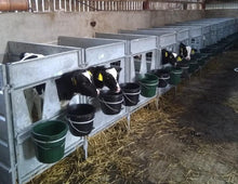 Load image into Gallery viewer, ODE Calf Pens - Solid Sides and Plastic Floors
