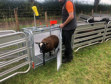 Load image into Gallery viewer, Ritchie Draft Pro from Leam Agri Ltd, Tempo, County Fermanagh, Northern Ireland. Serving Fermanagh, Tyrone, Antrim, Down, Londonderry, Armagh, Cavan, Leitrim, Sligo, Monaghan, Donegal, Dublin Carlow, Clare, Cork, Galway, Kerry, Kildare, Kilkenny, Laois, Limerick, Longford, Louth, Mayo, Meath, Monaghan, Offaly, Roscommon, Tipperary, Waterford, Westmeath, Wexford and Wicklow and throughout the United Kingdom