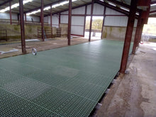 Load image into Gallery viewer, Plastic Sheep Slats from Leam Agri Ltd, Tempo, County Fermanagh, Northern Ireland. Serving Fermanagh, Tyrone, Antrim, Down, Londonderry, Armagh, Cavan, Leitrim, Sligo, Monaghan, Donegal, Dublin Carlow, Clare, Cork, Galway, Kerry, Kildare, Kilkenny, Laois, Limerick, Longford, Louth, Mayo, Meath, Monaghan, Offaly, Roscommon, Tipperary, Waterford, Westmeath, Wexford and Wicklow and throughout the United Kingdom