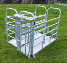 Load image into Gallery viewer, O'Donnell Engineering ODE Cattle Crush from Leam Agri Ltd, Tempo, County Fermanagh, Northern Ireland. Serving Fermanagh, Tyrone, Antrim, Down, Londonderry, Armagh, Cavan, Leitrim, Sligo, Monaghan, Donegal, Dublin Carlow, Clare, Cork, Galway, Kerry, Kildare, Kilkenny, Laois, Limerick, Longford, Louth, Mayo, Meath, Monaghan, Offaly, Roscommon, Tipperary, Waterford, Westmeath, Wexford and Wicklow and throughout the United Kingdom