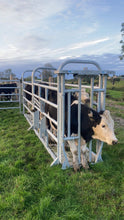 Load image into Gallery viewer, O'Donnell Engineering ODE Cattle Crush from Leam Agri Ltd, Tempo, County Fermanagh, Northern Ireland. Serving Fermanagh, Tyrone, Antrim, Down, Londonderry, Armagh, Cavan, Leitrim, Sligo, Monaghan, Donegal, Dublin Carlow, Clare, Cork, Galway, Kerry, Kildare, Kilkenny, Laois, Limerick, Longford, Louth, Mayo, Meath, Monaghan, Offaly, Roscommon, Tipperary, Waterford, Westmeath, Wexford and Wicklow and throughout the United Kingdom