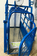 Load image into Gallery viewer, Lamb Weigh bridge Painted from Leam Agri Ltd, Tempo, County Fermanagh, Northern Ireland. Serving Fermanagh, Tyrone, Antrim, Down, Londonderry, Armagh, Cavan, Leitrim, Sligo, Monaghan, Donegal, Dublin Carlow, Clare, Cork, Galway, Kerry, Kildare, Kilkenny, Laois, Limerick, Longford, Louth, Mayo, Meath, Monaghan, Offaly, Roscommon, Tipperary, Waterford, Westmeath, Wexford and Wicklow and throughout the United Kingdom