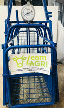 Load image into Gallery viewer, Lamb Weigh bridge Painted from Leam Agri Ltd, Tempo, County Fermanagh, Northern Ireland. Serving Fermanagh, Tyrone, Antrim, Down, Londonderry, Armagh, Cavan, Leitrim, Sligo, Monaghan, Donegal, Dublin Carlow, Clare, Cork, Galway, Kerry, Kildare, Kilkenny, Laois, Limerick, Longford, Louth, Mayo, Meath, Monaghan, Offaly, Roscommon, Tipperary, Waterford, Westmeath, Wexford and Wicklow and throughout the United Kingdom
