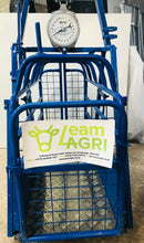 Load image into Gallery viewer, Lamb Weigh bridge Painted from Leam Agri Ltd, Tempo, County Fermanagh, Northern Ireland. Serving Fermanagh, Tyrone, Antrim, Down, Londonderry, Armagh, Cavan, Leitrim, Sligo, Monaghan, Donegal, Dublin Carlow, Clare, Cork, Galway, Kerry, Kildare, Kilkenny, Laois, Limerick, Longford, Louth, Mayo, Meath, Monaghan, Offaly, Roscommon, Tipperary, Waterford, Westmeath, Wexford and Wicklow and throughout the United Kingdom