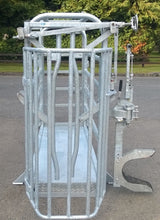 O'Donnell Engineering Cattle Crush 2 Stage Gate Headlock