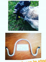 Load image into Gallery viewer, Sheep Restrainer from Leam Agri Ltd, Tempo, County Fermanagh, Northern Ireland. Serving Fermanagh, Tyrone, Antrim, Down, Londonderry, Armagh, Cavan, Leitrim, Sligo, Monaghan, Donegal, Dublin Carlow, Clare, Cork, Galway, Kerry, Kildare, Kilkenny, Laois, Limerick, Longford, Louth, Mayo, Meath, Monaghan, Offaly, Roscommon, Tipperary, Waterford, Westmeath, Wexford and Wicklow and throughout the United Kingdom