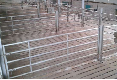 ODE 5 Bar Cattle Division Gate/Panel – Leam Agri Ltd