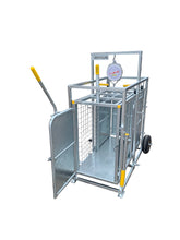 Load image into Gallery viewer, Buffalo Lamb Weigher
