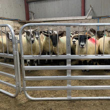 Load image into Gallery viewer, Sheep Hurdle 6ft Aluminium from Leam Agri Ltd, Tempo, County Fermanagh, Northern Ireland. Serving Fermanagh, Tyrone, Antrim, Down, Londonderry, Armagh, Cavan, Leitrim, Sligo, Monaghan, Donegal, Dublin Carlow, Clare, Cork, Galway, Kerry, Kildare, Kilkenny, Laois, Limerick, Longford, Louth, Mayo, Meath, Monaghan, Offaly, Roscommon, Tipperary, Waterford, Westmeath, Wexford and Wicklow and throughout the United Kingdom
