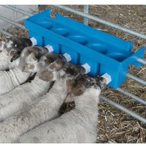 5 Teat Lamb Feeder from Leam Agri Ltd, Tempo, County Fermanagh, Northern Ireland. Serving Fermanagh, Tyrone, Antrim, Down, Londonderry, Armagh, Cavan, Leitrim, Sligo, Monaghan, Donegal, Dublin Carlow, Clare, Cork, Galway, Kerry, Kildare, Kilkenny, Laois, Limerick, Longford, Louth, Mayo, Meath, Monaghan, Offaly, Roscommon, Tipperary, Waterford, Westmeath, Wexford and Wicklow and throughout the United Kingdom