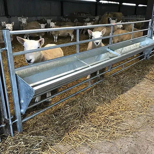 Ritchie Tipping Sheep Feed Barrier from Leam Agri Ltd, Tempo, County Fermanagh, Northern Ireland. Serving Fermanagh, Tyrone, Antrim, Down, Londonderry, Armagh, Cavan, Leitrim, Sligo, Monaghan, Donegal, Dublin Carlow, Clare, Cork, Galway, Kerry, Kildare, Kilkenny, Laois, Limerick, Longford, Louth, Mayo, Meath, Monaghan, Offaly, Roscommon, Tipperary, Waterford, Westmeath, Wexford and Wicklow and throughout the United Kingdom