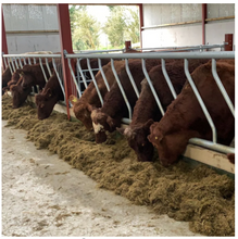 Load image into Gallery viewer, AK Cattle Feed Barrier
