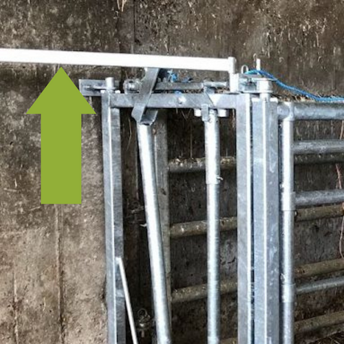 Brace Bar Bo Steel Calving Gate Enniskillen from Leam Agri Ltd, Tempo, County Fermanagh, Northern Ireland. Serving Fermanagh, Tyrone, Antrim, Down, Londonderry, Armagh, Cavan, Leitrim, Sligo, Monaghan, Donegal, Dublin Carlow, Clare, Cork, Galway, Kerry, Kildare, Kilkenny, Laois, Limerick, Longford, Louth, Mayo, Meath, Monaghan, Offaly, Roscommon, Tipperary, Waterford, Westmeath, Wexford and Wicklow and throughout the United Kingdom, NI, ROI