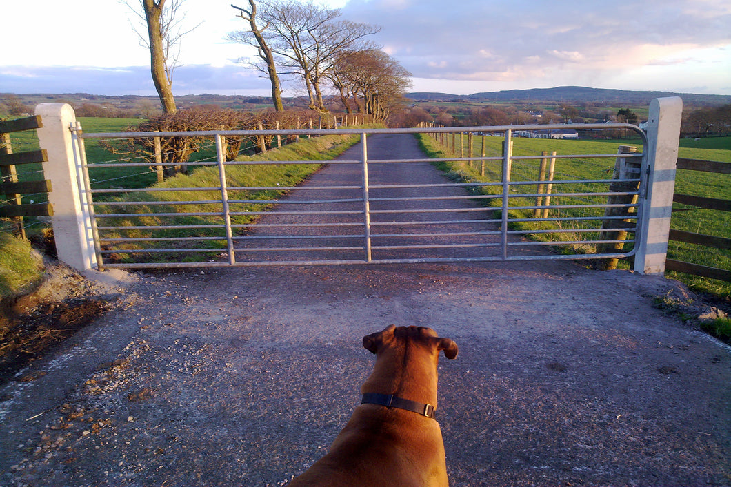 Concrete Gate Post