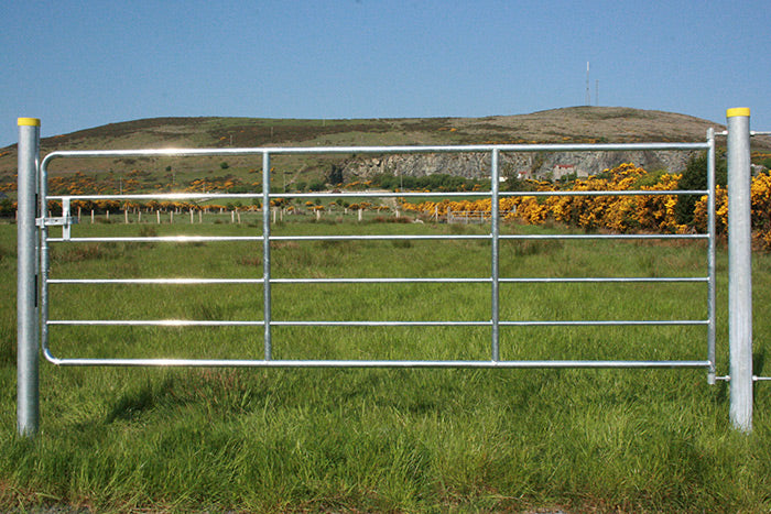D4 Cattle Gate from Leam Agri Ltd, Tempo, County Fermanagh, Northern Ireland. Serving Fermanagh, Tyrone, Antrim, Down, Londonderry, Armagh, Cavan, Leitrim, Sligo, Monaghan, Donegal, Dublin Carlow, Clare, Cork, Galway, Kerry, Kildare, Kilkenny, Laois, Limerick, Longford, Louth, Mayo, Meath, Monaghan, Offaly, Roscommon, Tipperary, Waterford, Westmeath, Wexford and Wicklow and throughout the United Kingdom