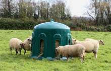 Load image into Gallery viewer, Sheep Haybell from Leam Agri Ltd, Tempo, County Fermanagh, Northern Ireland. Serving Fermanagh, Tyrone, Antrim, Down, Londonderry, Armagh, Cavan, Leitrim, Sligo, Monaghan, Donegal, Dublin Carlow, Clare, Cork, Galway, Kerry, Kildare, Kilkenny, Laois, Limerick, Longford, Louth, Mayo, Meath, Monaghan, Offaly, Roscommon, Tipperary, Waterford, Westmeath, Wexford and Wicklow and throughout the United Kingdom
