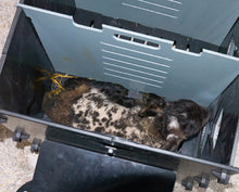 Load image into Gallery viewer, Lamb Warming box from Leam Agri Ltd, Tempo, County Fermanagh, Northern Ireland. Serving Fermanagh, Tyrone, Antrim, Down, Londonderry, Armagh, Cavan, Leitrim, Sligo, Monaghan, Donegal, Dublin Carlow, Clare, Cork, Galway, Kerry, Kildare, Kilkenny, Laois, Limerick, Longford, Louth, Mayo, Meath, Monaghan, Offaly, Roscommon, Tipperary, Waterford, Westmeath, Wexford and Wicklow and throughout the United Kingdom
