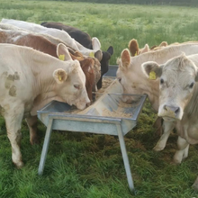 Load image into Gallery viewer, Heavy duty double trough from Leam Agri Ltd, Tempo, County Fermanagh, Northern Ireland. Serving Fermanagh, Tyrone, Antrim, Down, Londonderry, Armagh, Cavan, Leitrim, Sligo, Monaghan, Donegal, Dublin Carlow, Clare, Cork, Galway, Kerry, Kildare, Kilkenny, Laois, Limerick, Longford, Louth, Mayo, Meath, Monaghan, Offaly, Roscommon, Tipperary, Waterford, Westmeath, Wexford and Wicklow and throughout the United Kingdom
