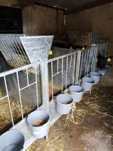 Load image into Gallery viewer, Calf Pens - Solid Side and Timber Floor
