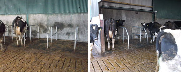 Newton Rige Cubicle Newton Rigg Cubicle – Leam Agri Ltd