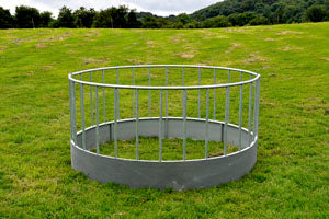 Large Sheep Ring Feeder - Lowland