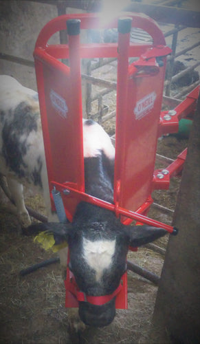 O’Neill Calf & Sheep Staller from Leam Agri Ltd, Tempo, County Fermanagh, Northern Ireland.  Serving Fermanagh, Tyrone, Antrim, Down, Londonderry, Armagh, Cavan, Leitrim, Sligo, Monaghan, Donegal, Dublin Carlow, Clare, Cork, Galway, Kerry, Kildare, Kilkenny, Laois, Limerick, Longford, Louth, Mayo, Meath, Monaghan, Offaly, Roscommon, Tipperary, Waterford, Westmeath, Wexford and Wicklow and throughout the United Kingdom